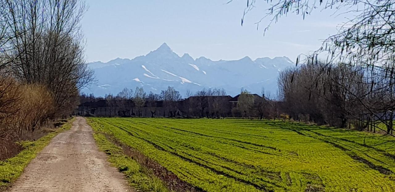 La Corte B&B Candiolo Exteriör bild